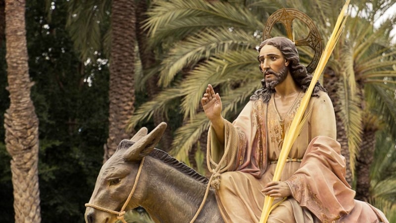 domingo de ramos