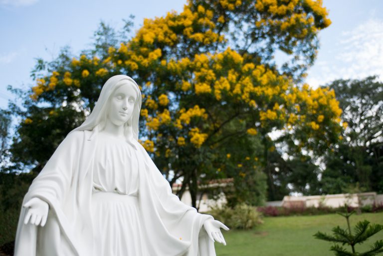 Virgen del milagro